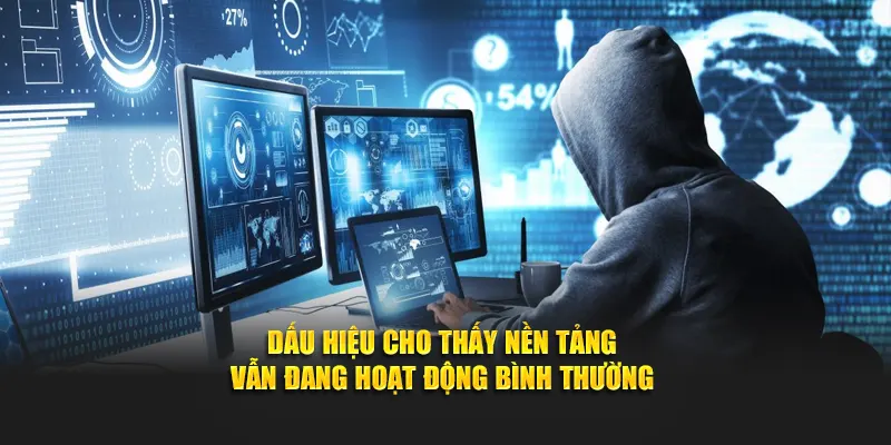 Dấu hiệu cho thấy nền tảng vẫn đang hoạt động bình thường