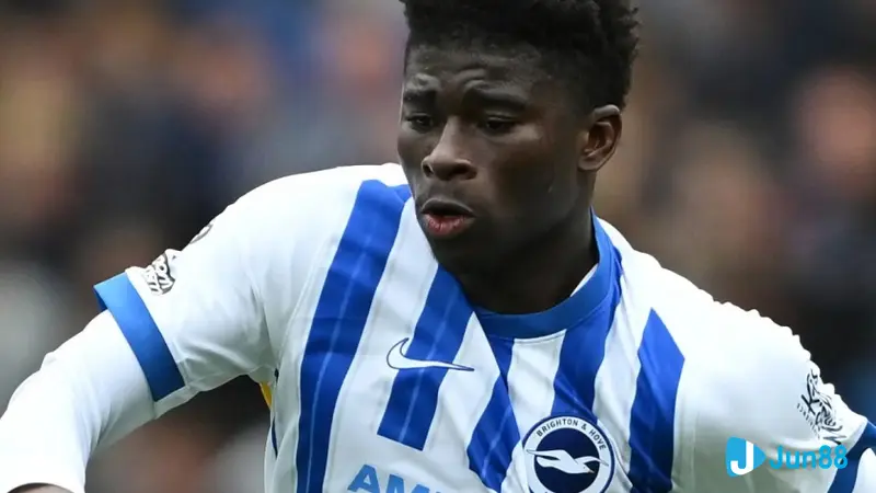 Brighton Vs Wolfsburg phong do gan day